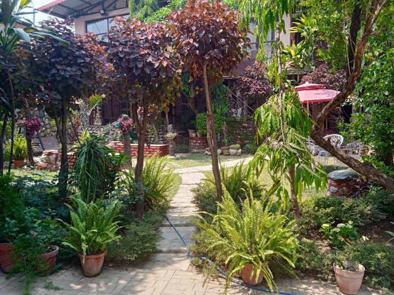 Oxygen Homestay-A Blissful Retreat - image 43