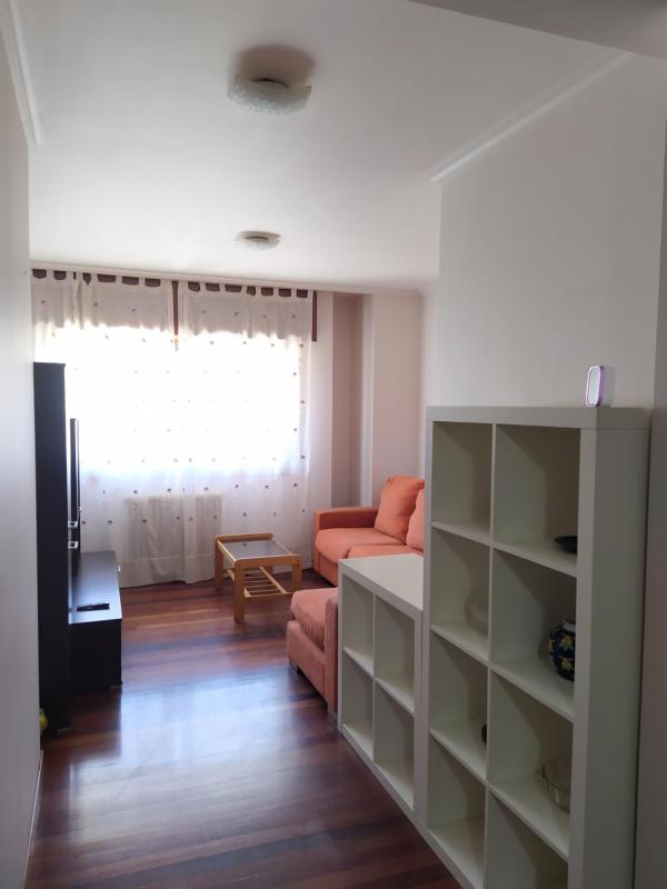 One-Bedroom Apartment image 4