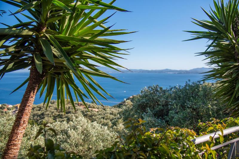Villa Sotiris - image 22