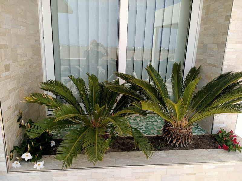 Hotel Verona - image 4