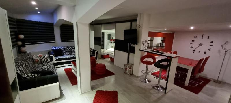 One-Bedroom Apartment with Terrace and River View image 3