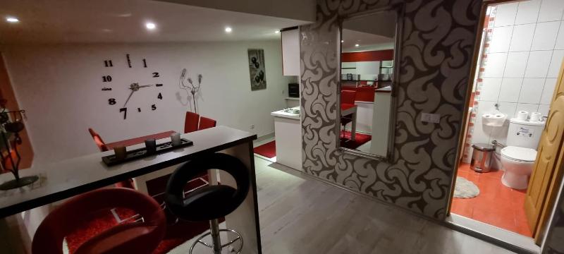 One-Bedroom Apartment with Terrace and River View image 4