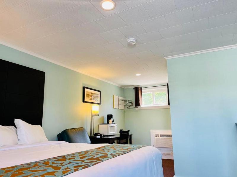 King Room image 1