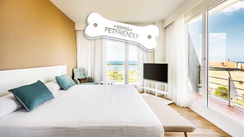 Double Room Pet Friendly image 4