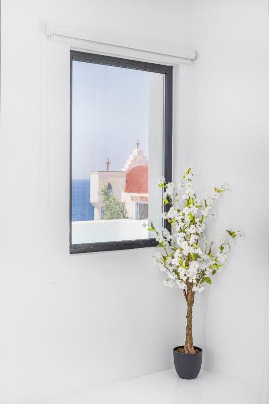 Junior Suite with Private Pool image 4