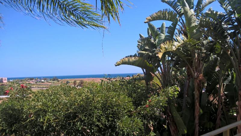 812 Quinta Marina - image 15