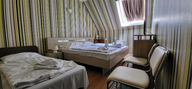 Triple Room - Attic image 3