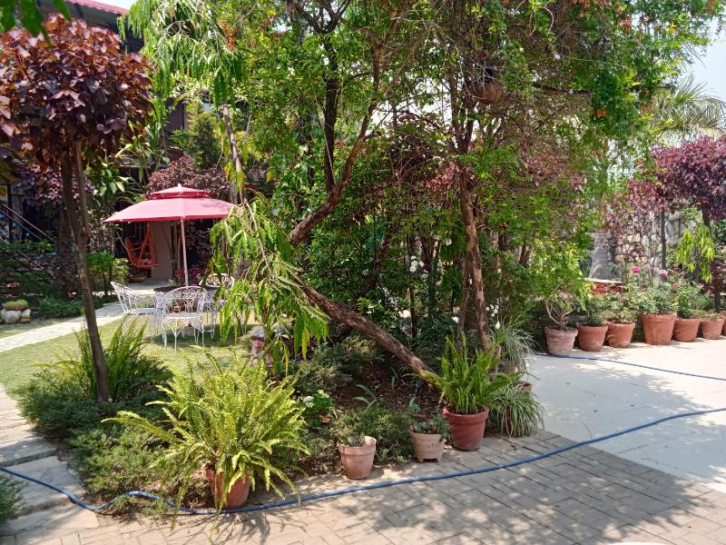 Oxygen Homestay-A Blissful Retreat - image 31
