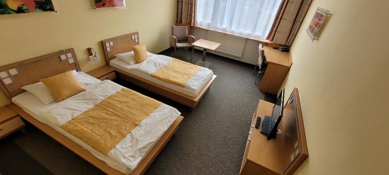 Superior Twin Room image 1