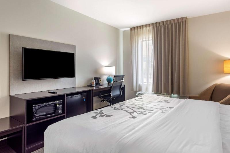 King Room - Non-Smoking image 3