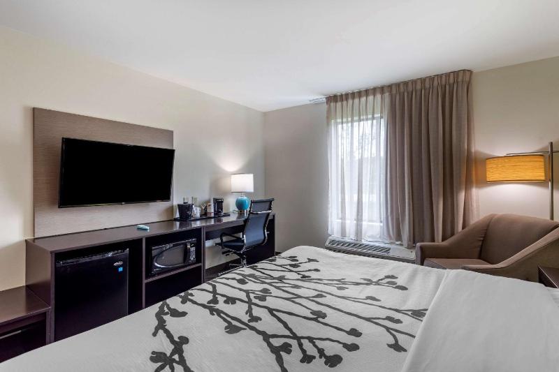 King Room - Accessible/Non-Smoking image 3