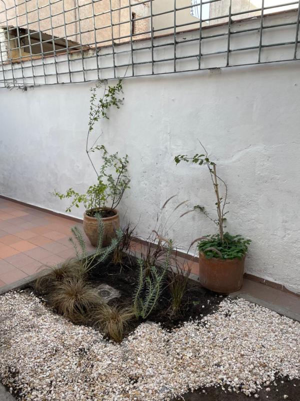 Amplia casa en la 5ta sección ciudad con patio y parrilla - image 7