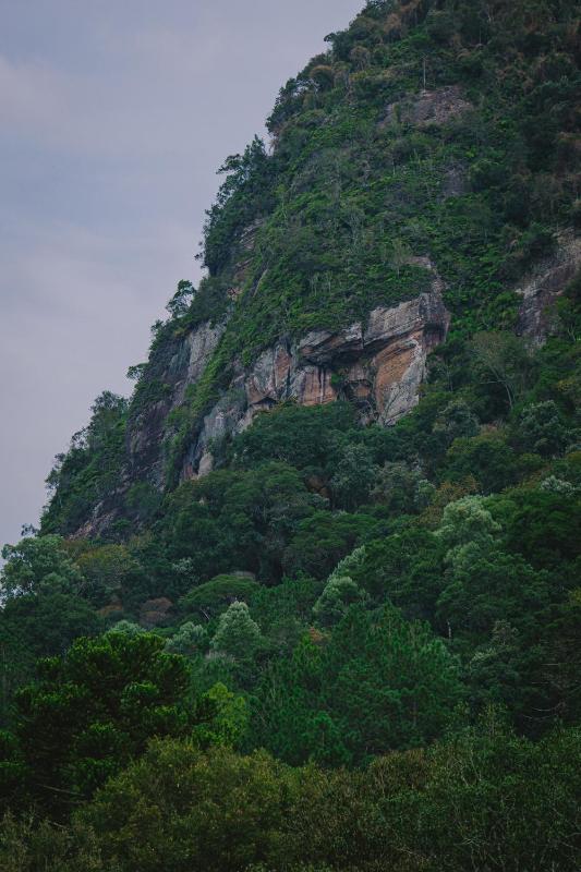 Cabanas do avencal - image 35