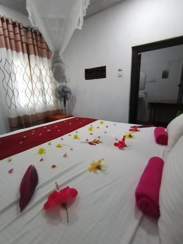 Surf Paradise - image 14