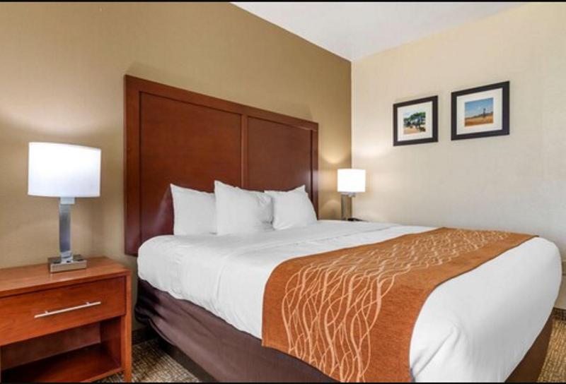 King Room - Non-Smoking/Pet Friendly image 2