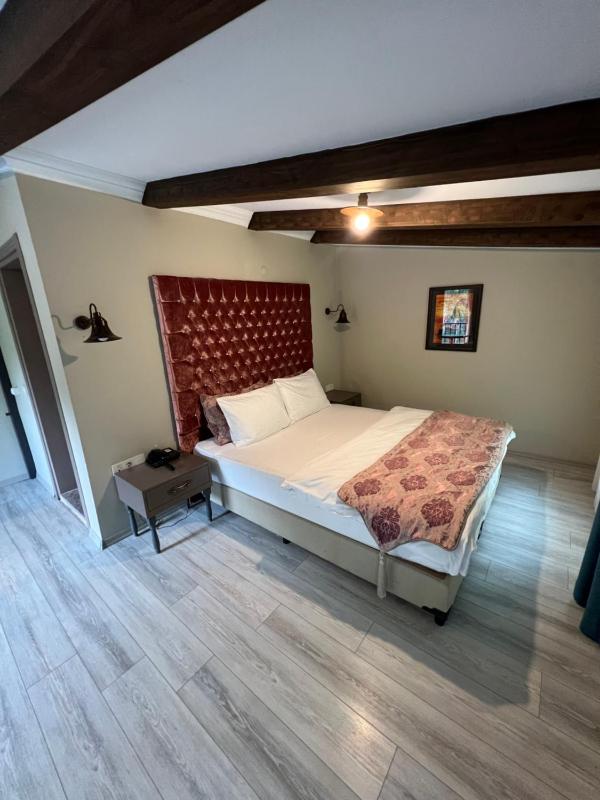 Deluxe Suite image 1