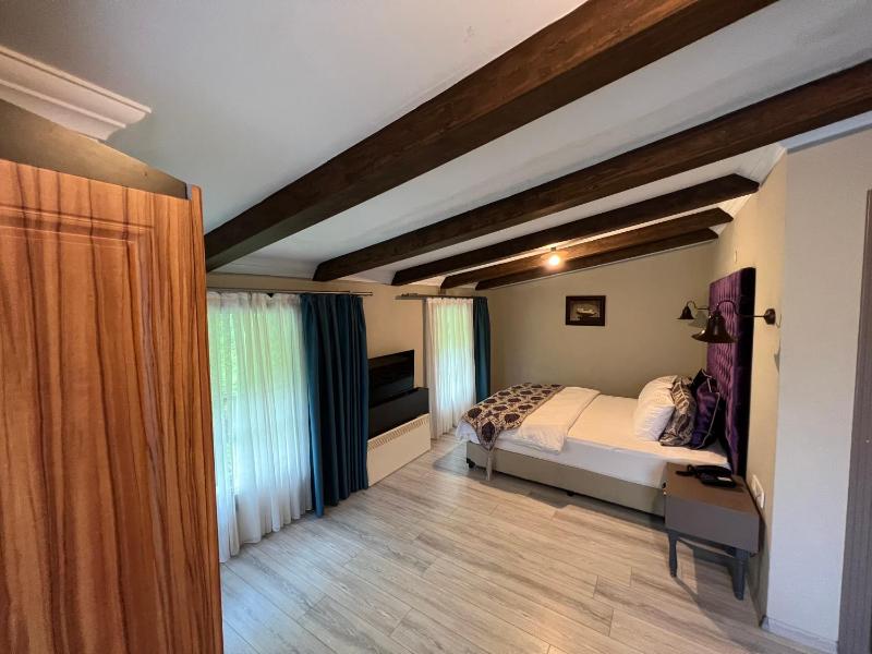 Double Room with Mountain View image 1
