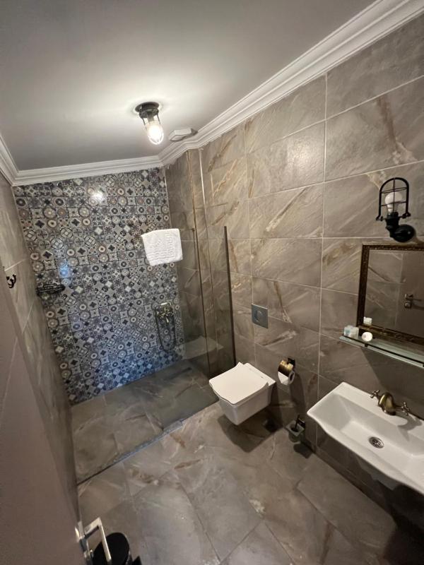 Deluxe Suite image 2