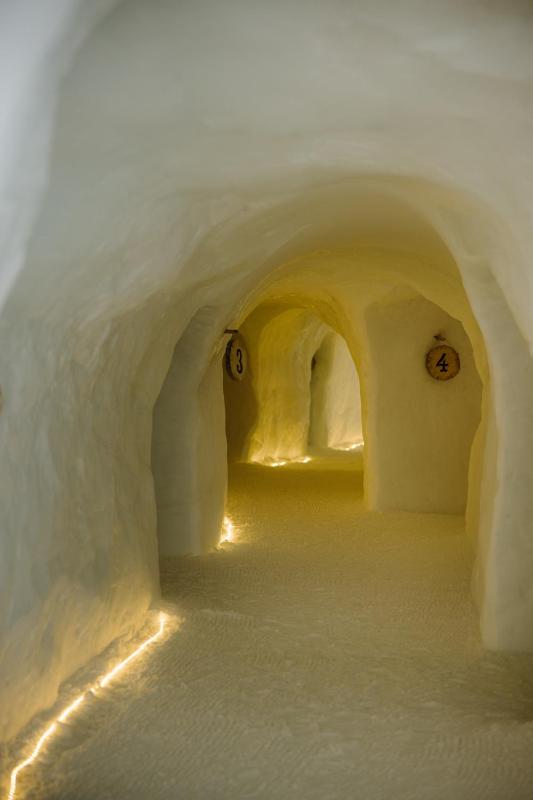 Igloo (2 pax) image 2