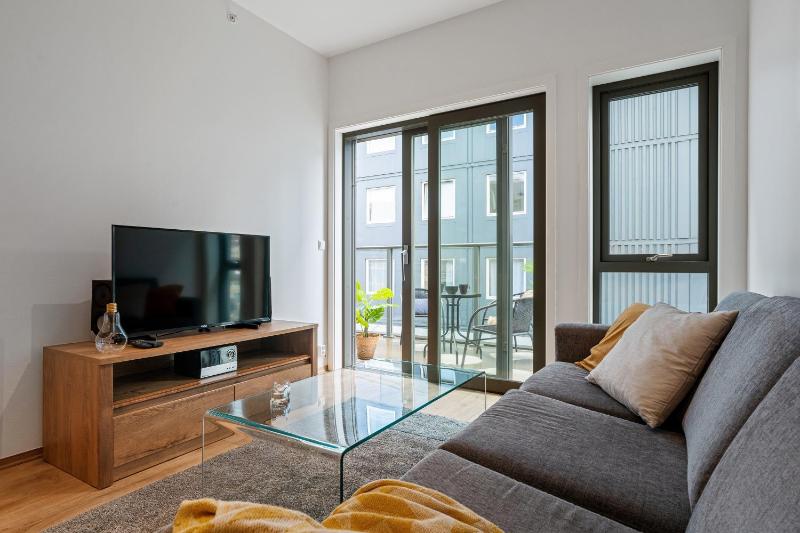 Large Two-Bedroom Apartment  image 4