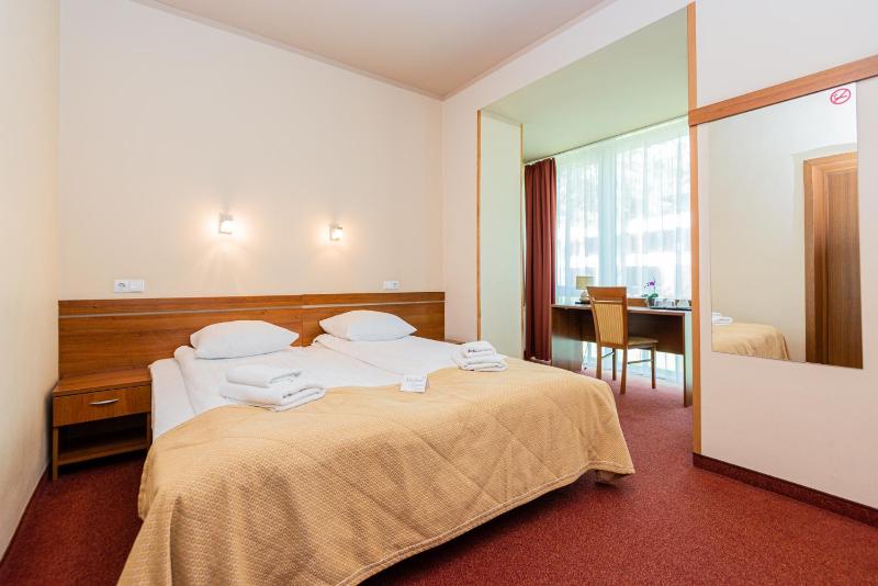 Superior Double or Twin Room image 3