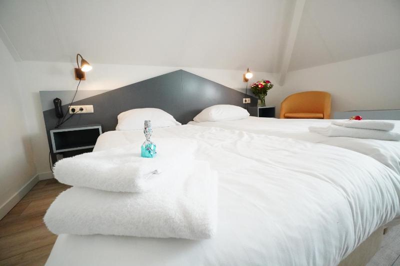 Standard Twin Room image 3