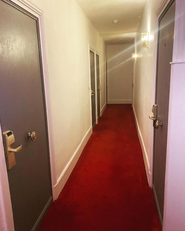Standard Double or Twin Room image 3