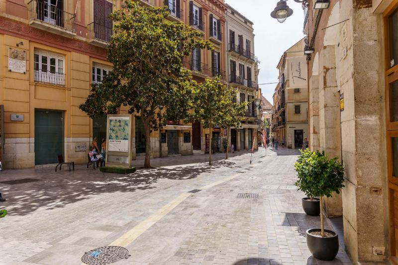 MalagaSuite City Center Malaga - image 12