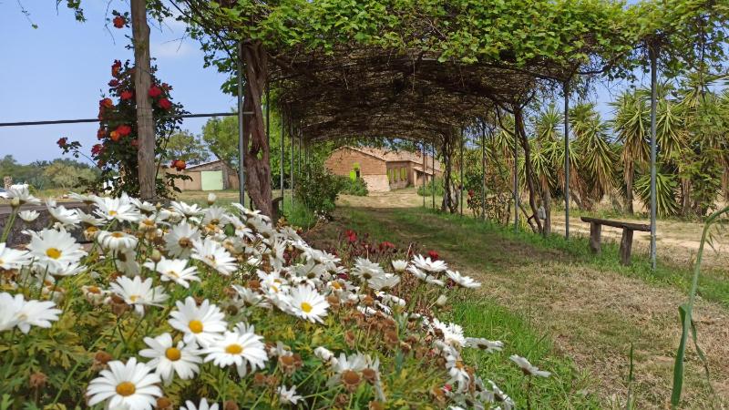 Il Canto di Kokopelli Country Houses - image 17