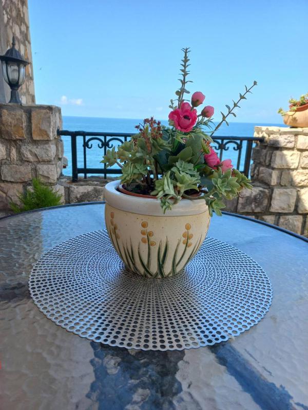  Comfort studio with Kitchen, Bathroom, Terrace and Sea View  image 4