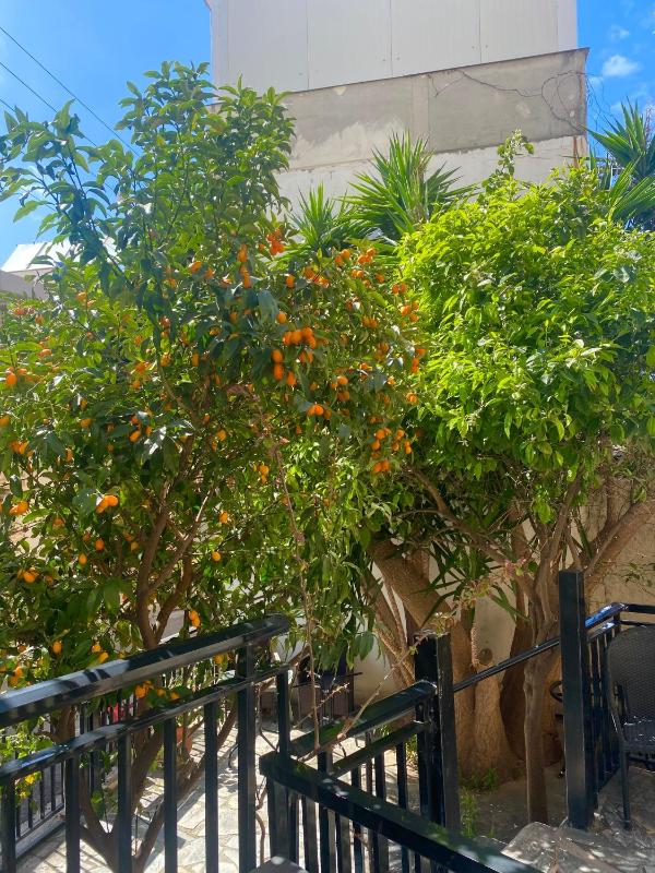 Candia Hotel - image 7