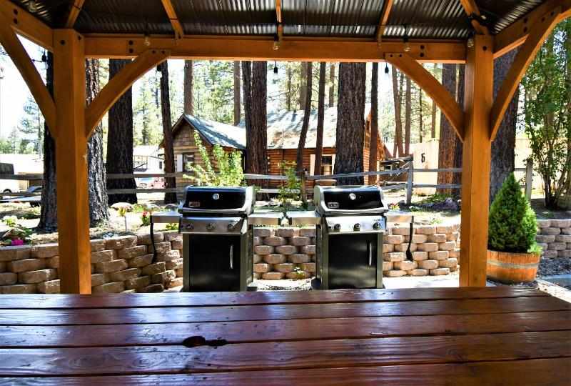 Snow Lake Lodge - image 38