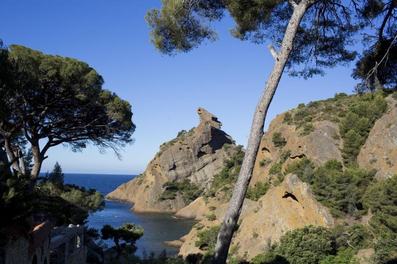 La Calanque de Figuerolles - image 37