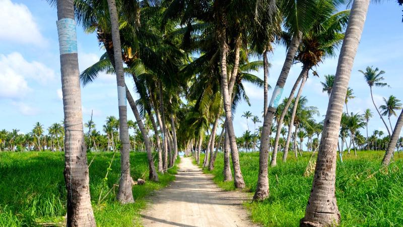 Holiday Cottage Thoddoo Maldives - image 12