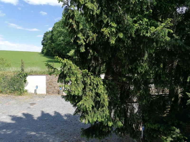 Double Room with Patio image 1