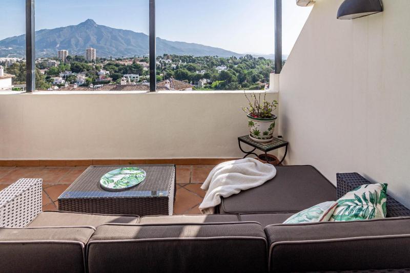 Spacious 2 Bedroom Apartment in Puerto Banus with a Private Terrace and Mountain Views - image 19