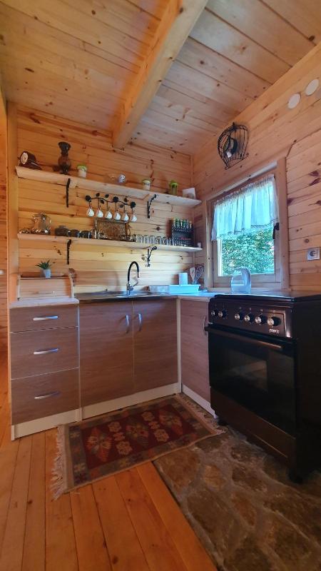 Drvena vikendica Teodora - image 6