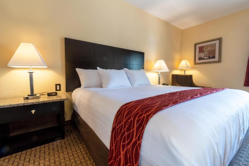 King Room - Non-Smoking image 3