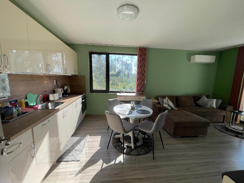 One-Bedroom Apartment image 4