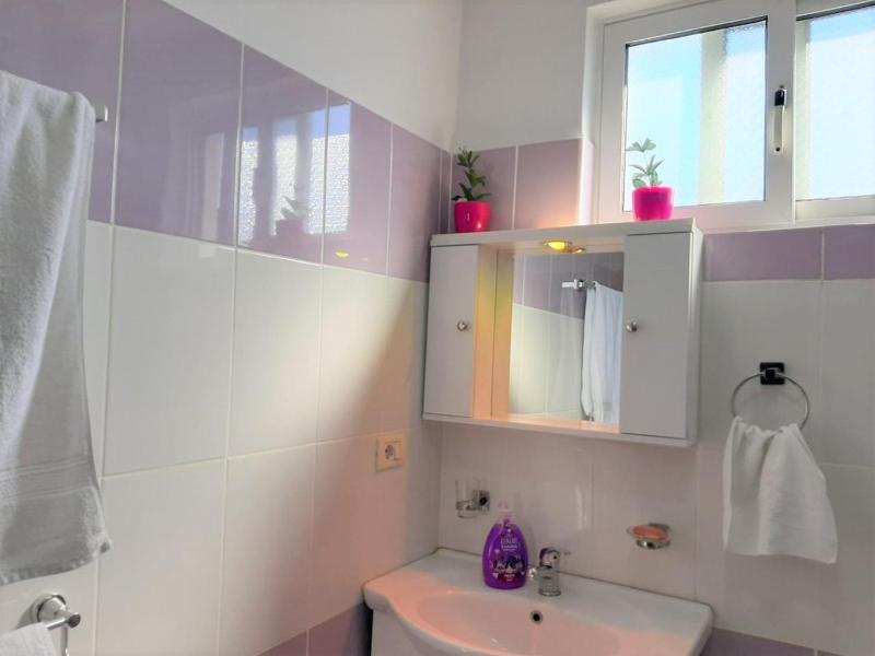 One-Bedroom Apartment image 3