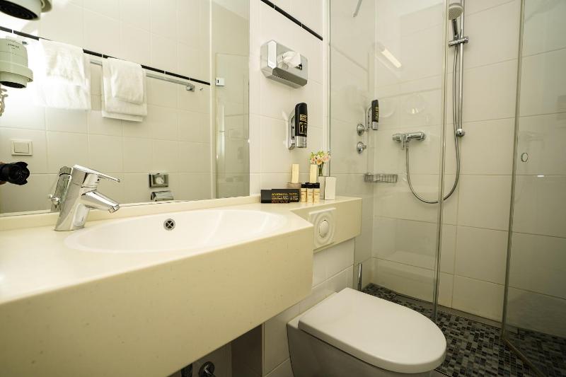 Business Double or Twin Room image 4