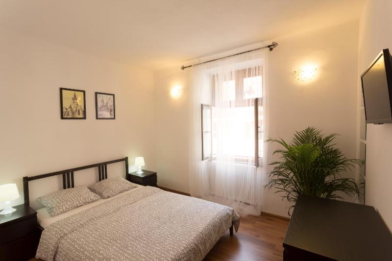 Medieval Central Apartment Sibiu - image 1