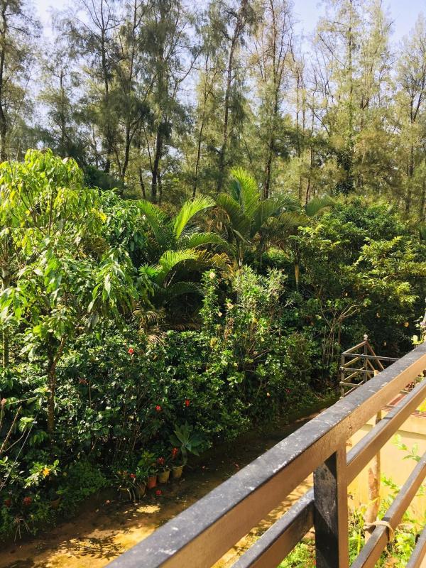 Coorg West End Home Stay - image 43