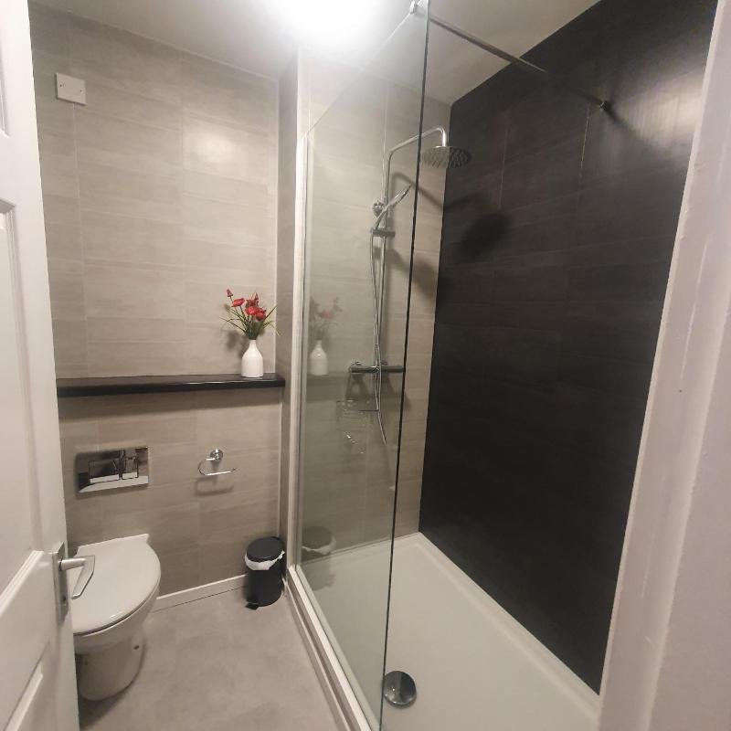 One-Bedroom Apartment image 2