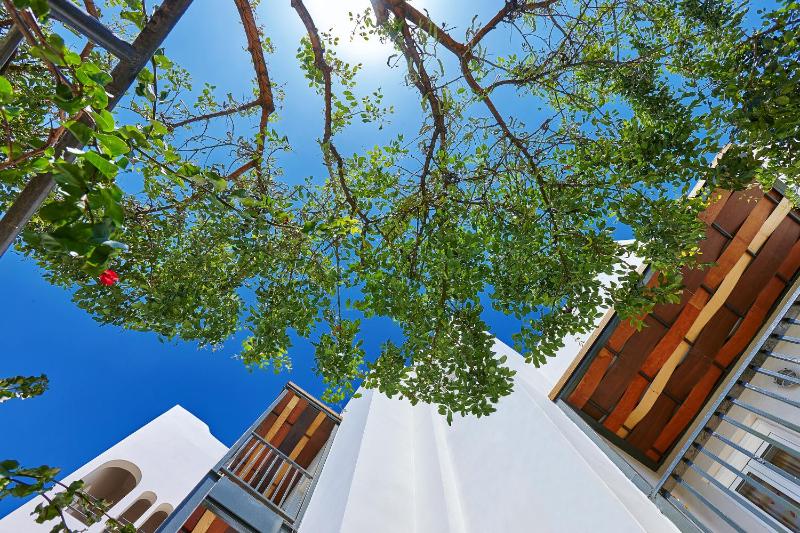 Arminda Hotel & Spa - image 3