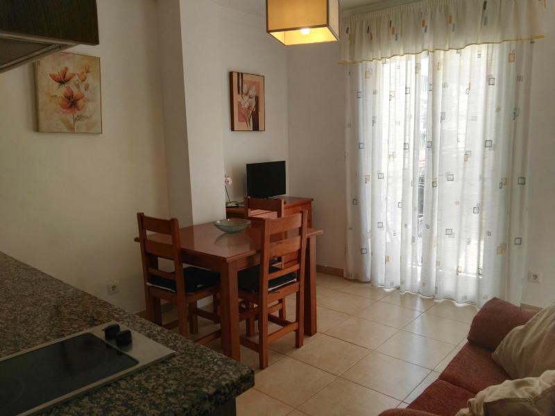 Studio with Terrace image 4