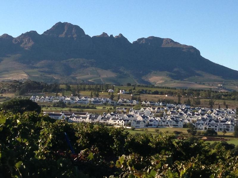 De Zalze Luxury Lodge - image 11