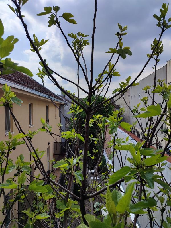 Centar Novi Sad-Apartman No 3 PARKING ON REQUEST - image 13