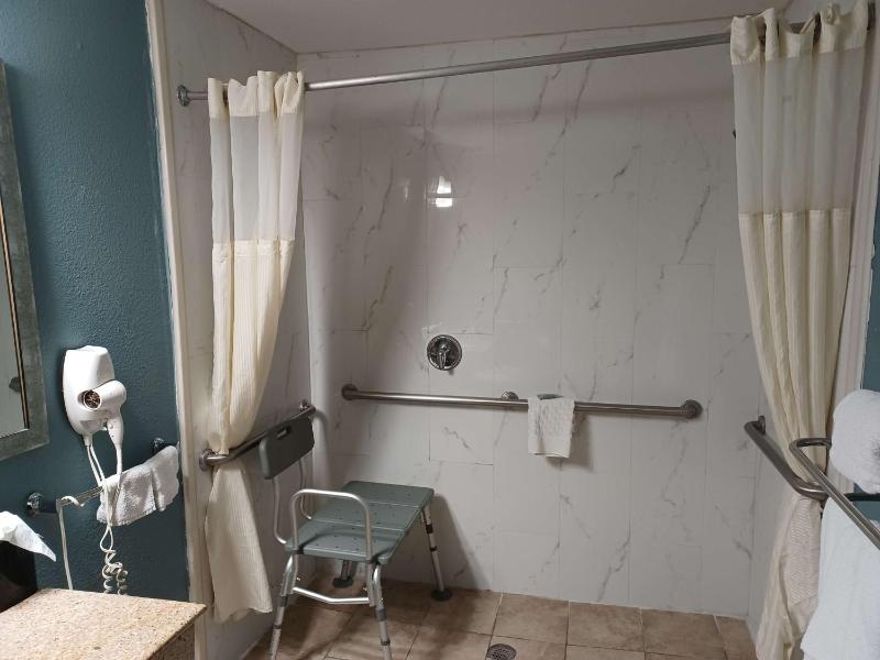 King Room with Walk-in Shower and Sofa Bed - Mobility Access/Non-Smoking image 1