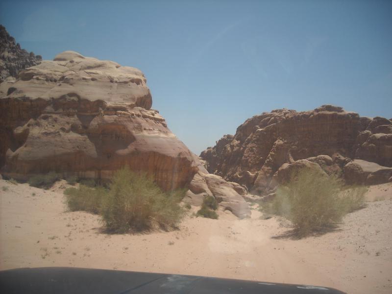 Bedouin House Camp - image 7